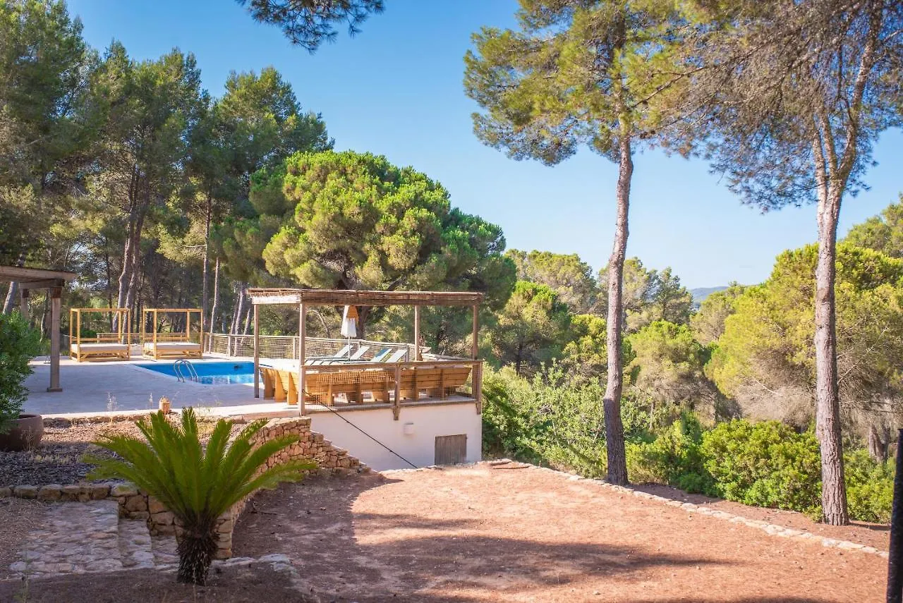 Can Rich Villa Santa Gertrudis
